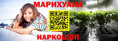 шишки Гусиноозёрск