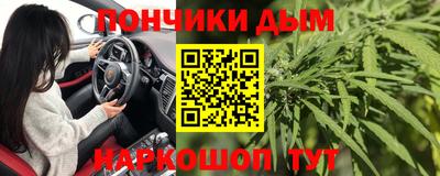 шишки Гусиноозёрск