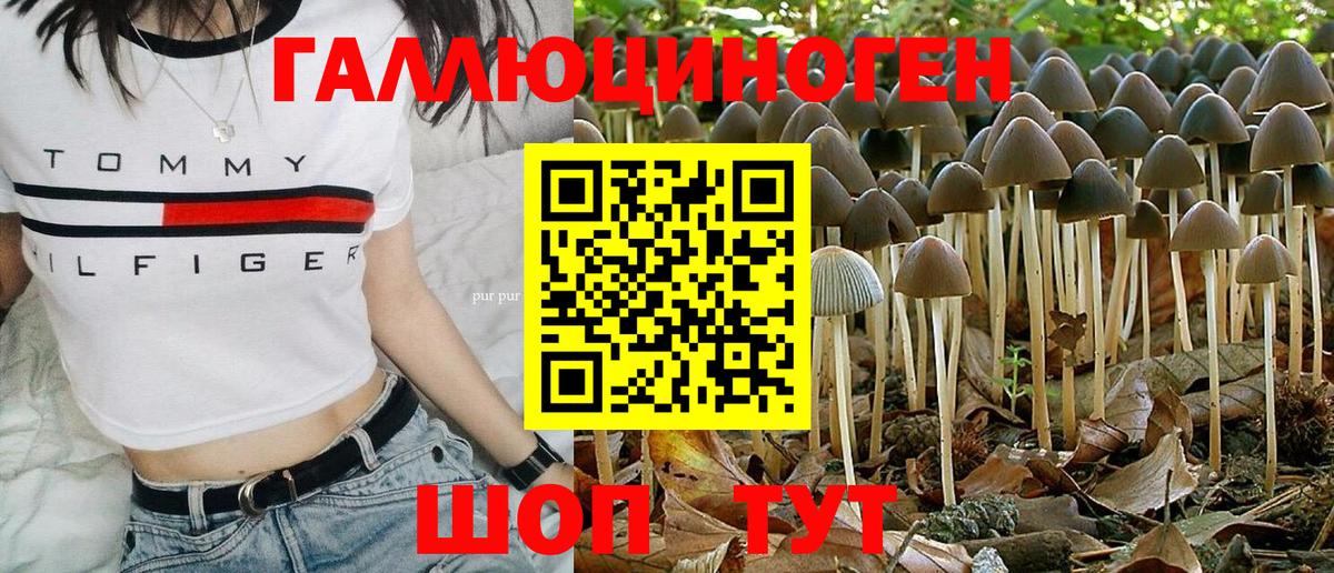 Галлюциногенные грибы мицелий  Галлюциногенные грибы Psilocybine cubensis  Вход с VPN  Нурлат 